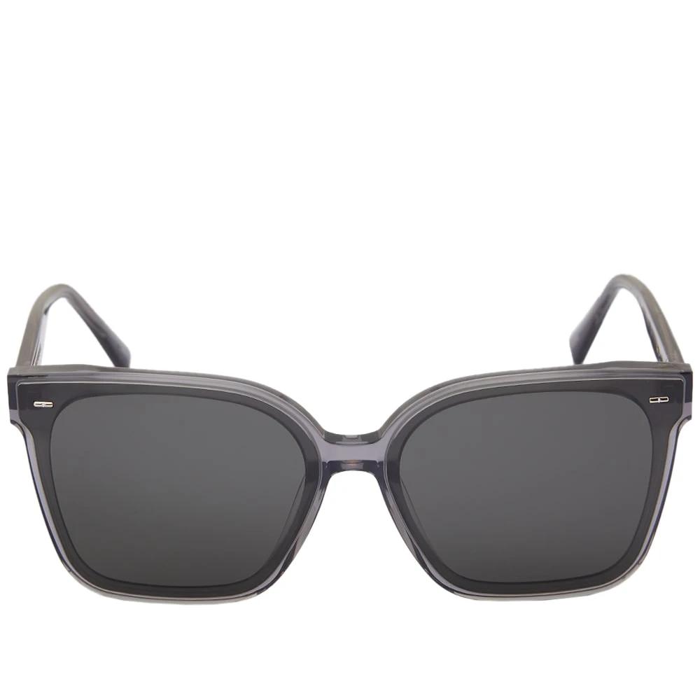 Gentle Monster Sal Sunglasses - Image 2