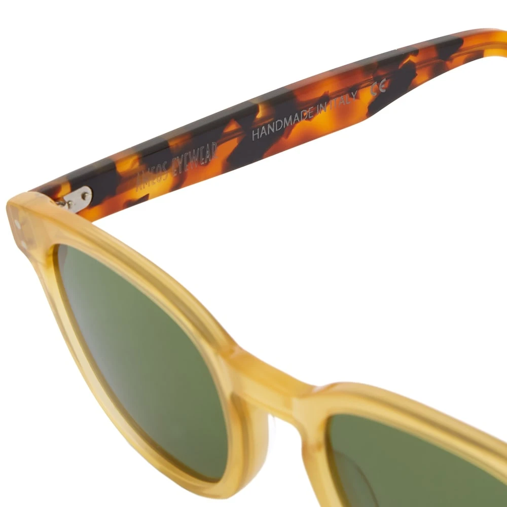 Ameos Kambo Sunglasses - Image 3