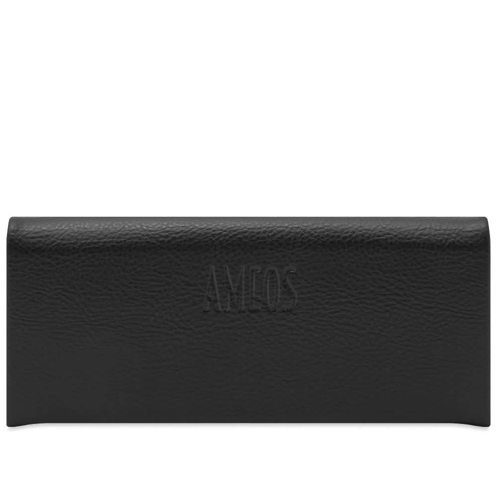 Ameos Robyn Sunglasses - Image 4