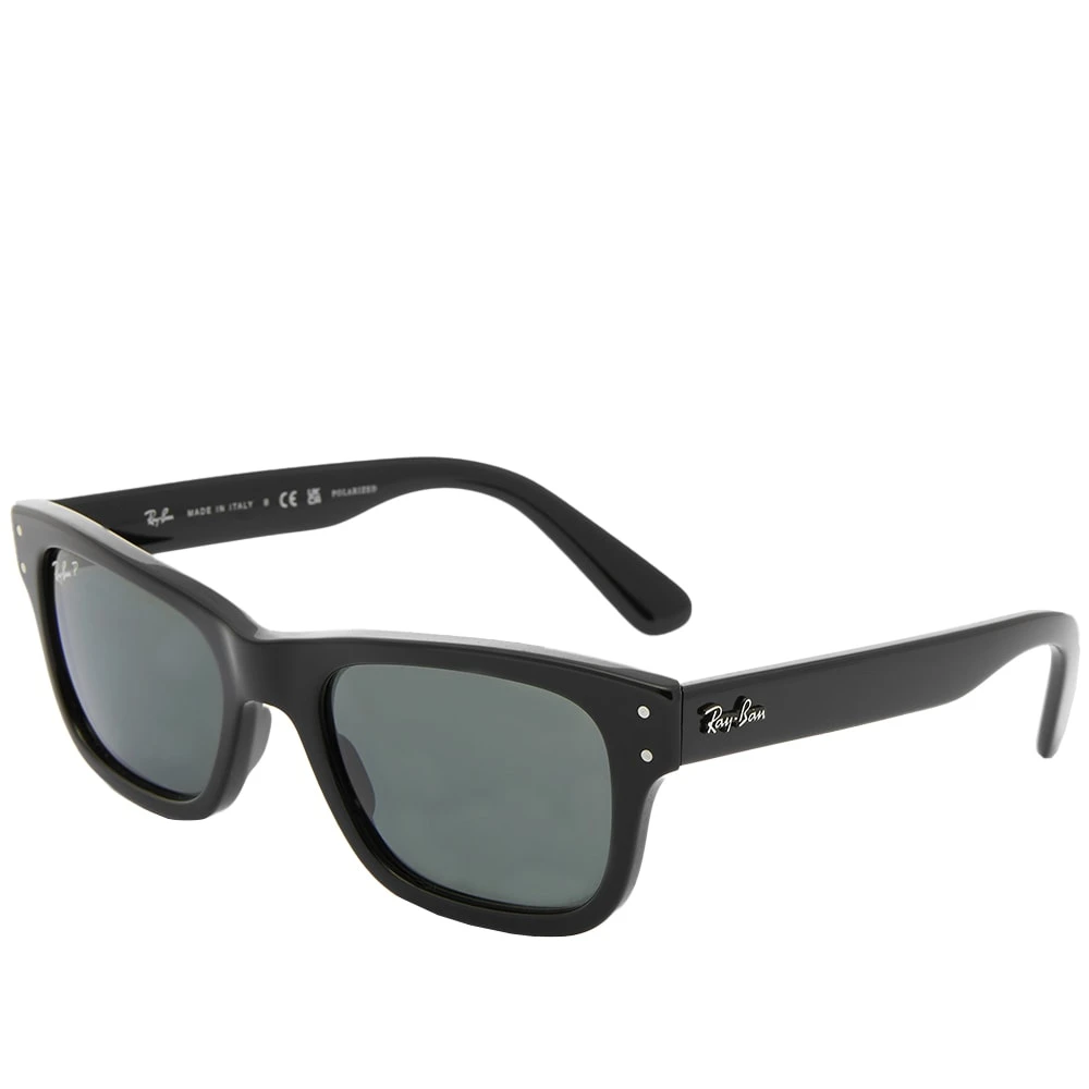 RAY-BAN Ray Ban Burbank Sunglasses