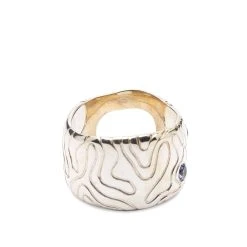 Octi Globe Island 002 Ring